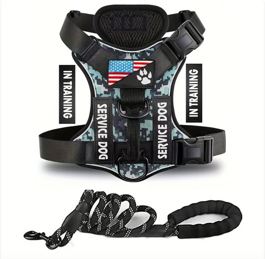 Dog Harness & Leash Set – Reflective Adjustable Safety Walking Kit