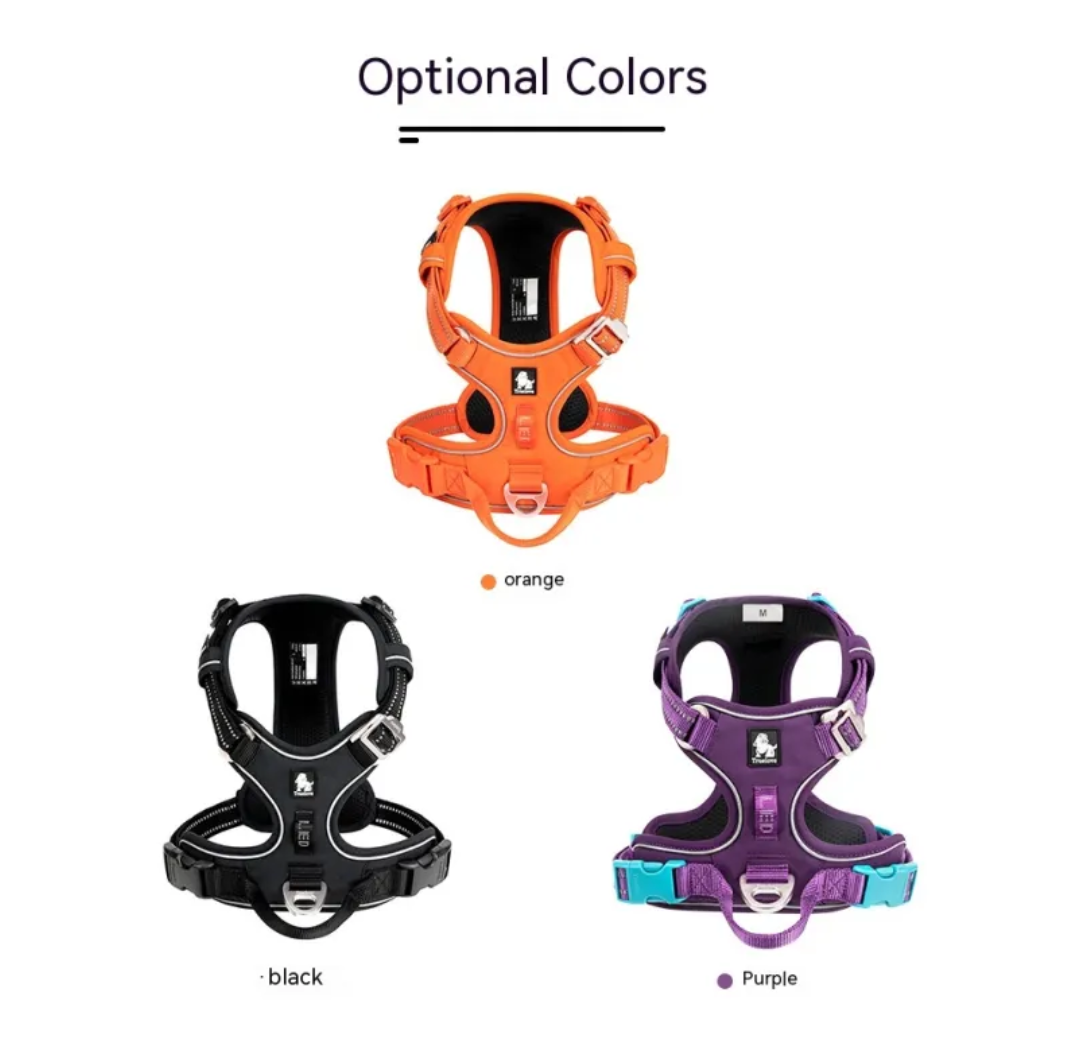 Reflective Dog Harness with Leash Set – Safe Night Walking Gear