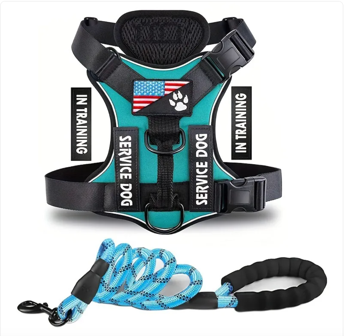 Dog Harness & Leash Set – Reflective Adjustable Safety Walking Kit