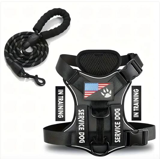 Dog Harness & Leash Set – Reflective Adjustable Safety Walking Kit