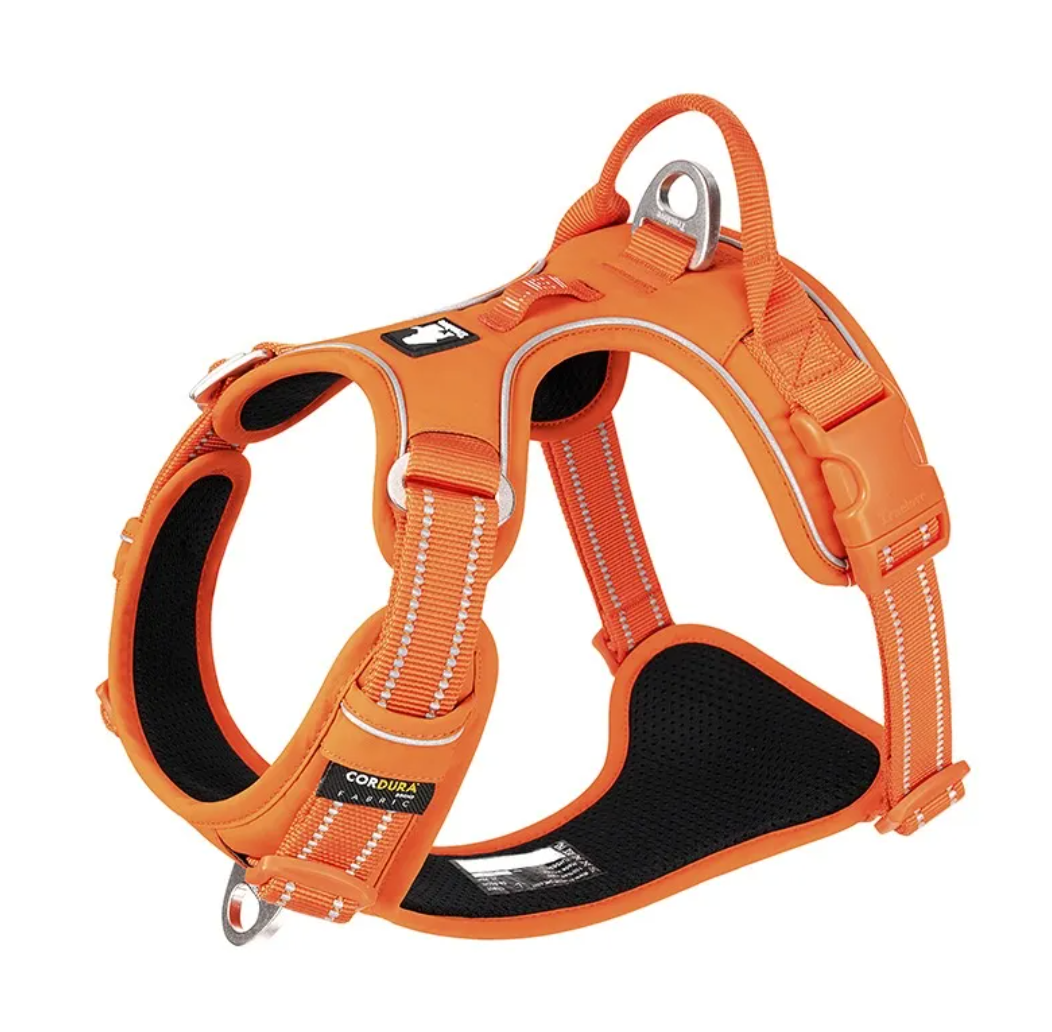 Reflective Dog Harness with Leash Set – Safe Night Walking Gear