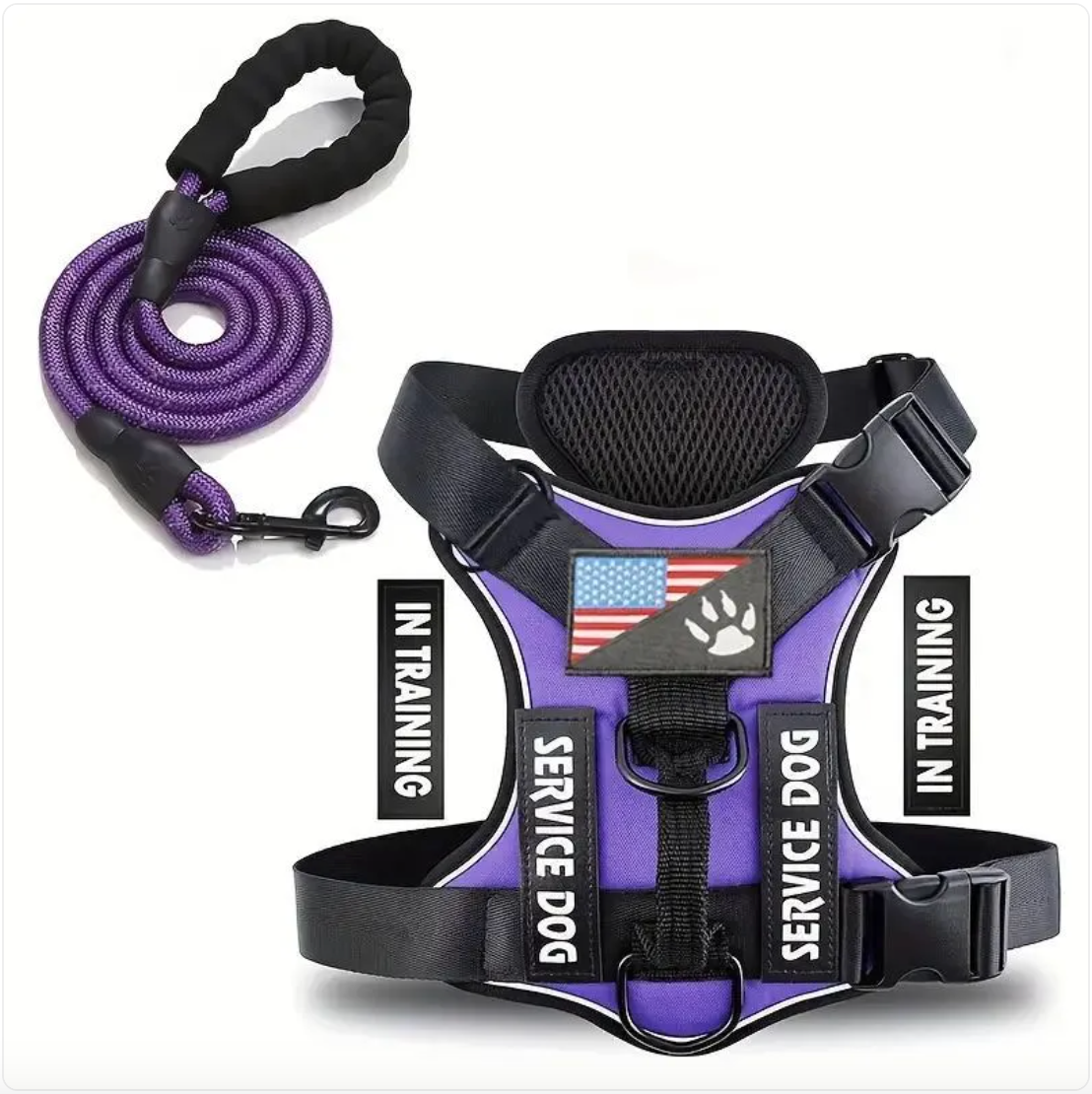 Dog Harness & Leash Set – Reflective Adjustable Safety Walking Kit