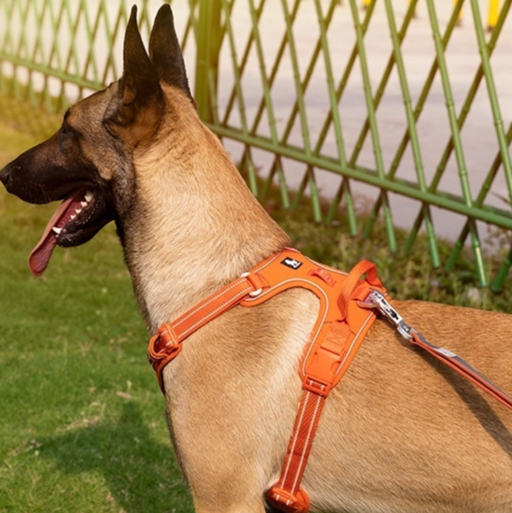 Reflective Dog Harness with Leash Set – Safe Night Walking Gear