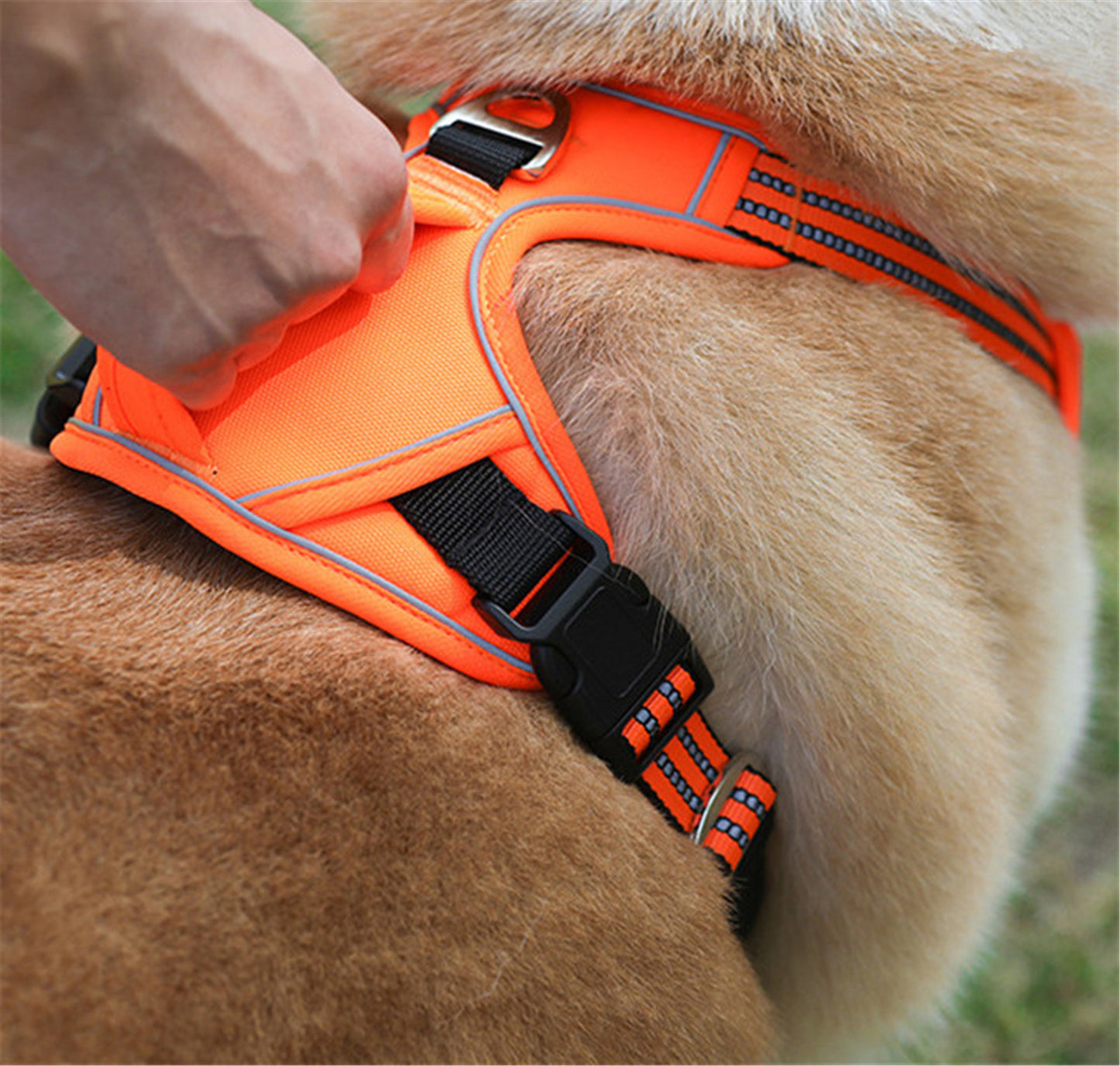 Waterproof Dog Harness with Handle – Durable No-Pull Pet Vest