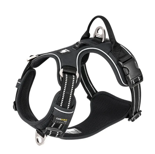 Reflective Dog Harness with Leash Set – Safe Night Walking Gear
