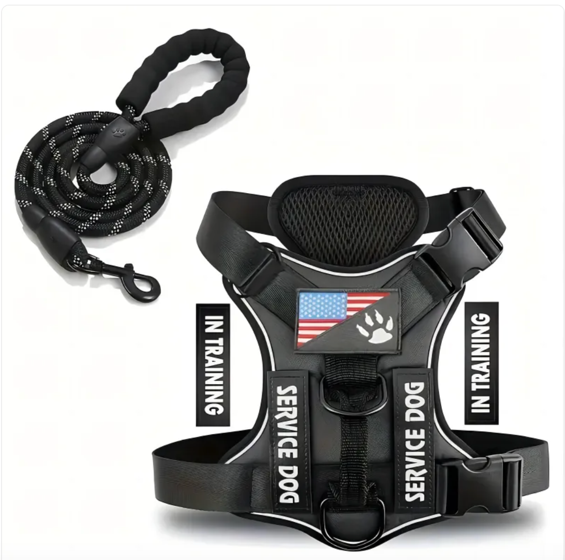 Dog Harness & Leash Set – Reflective Adjustable Safety Walking Kit