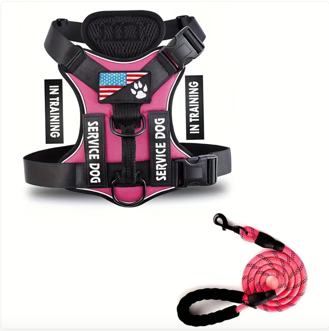 Dog Harness & Leash Set – Reflective Adjustable Safety Walking Kit
