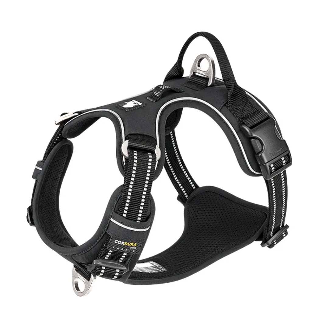 Reflective Dog Harness with Leash Set – Safe Night Walking Gear