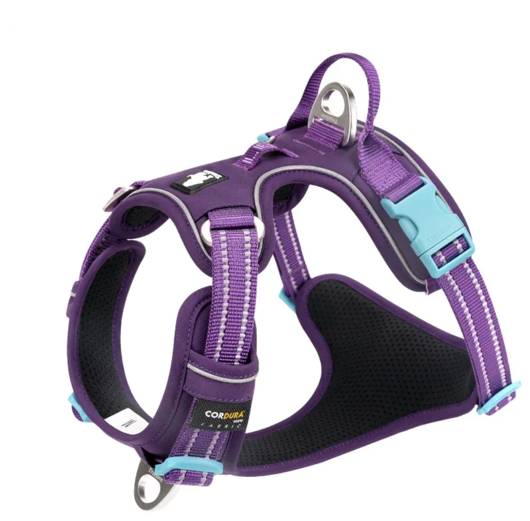 Reflective Dog Harness with Leash Set – Safe Night Walking Gear