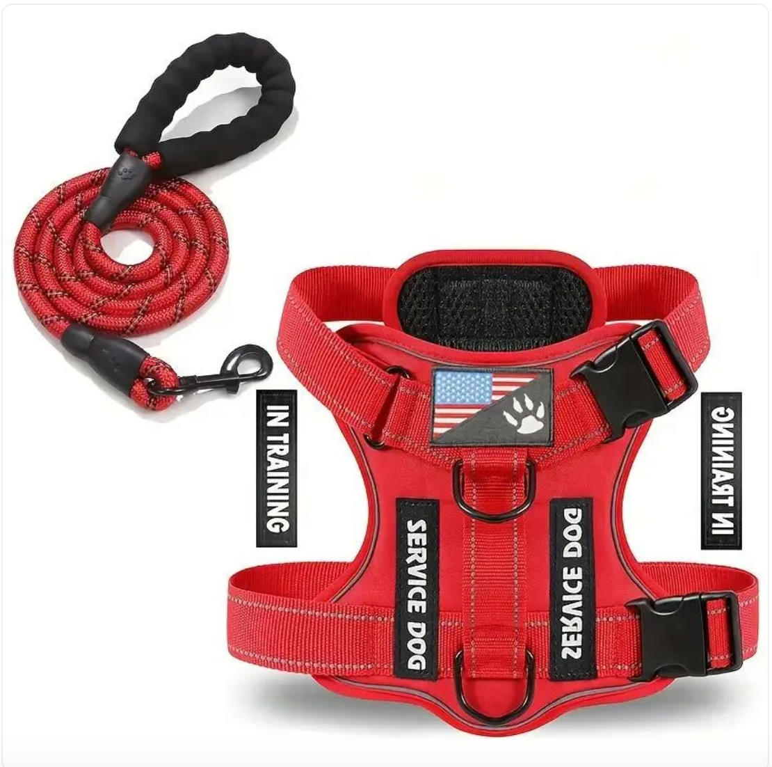 Dog Harness & Leash Set – Reflective Adjustable Safety Walking Kit