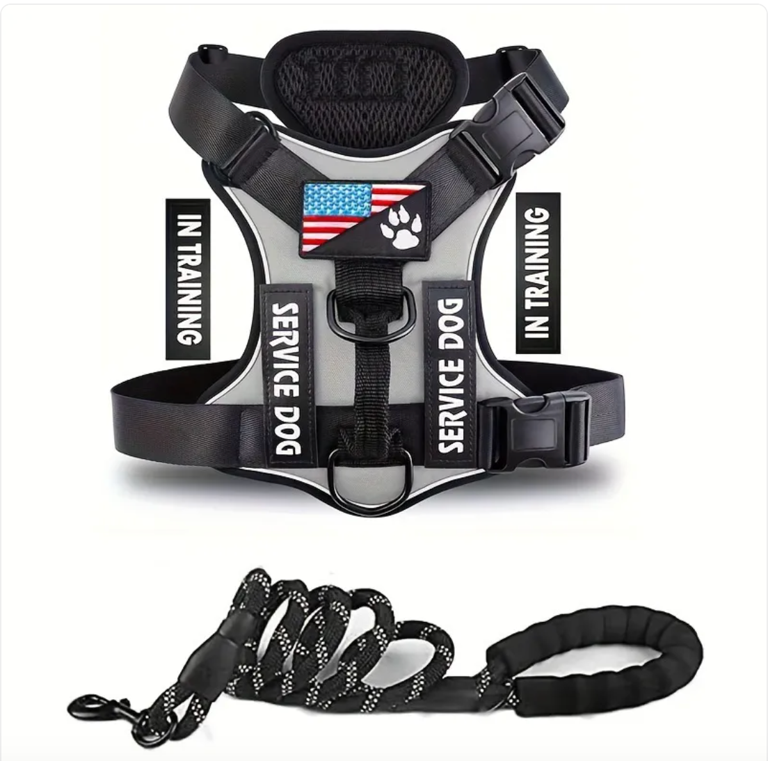 Dog Harness & Leash Set – Reflective Adjustable Safety Walking Kit