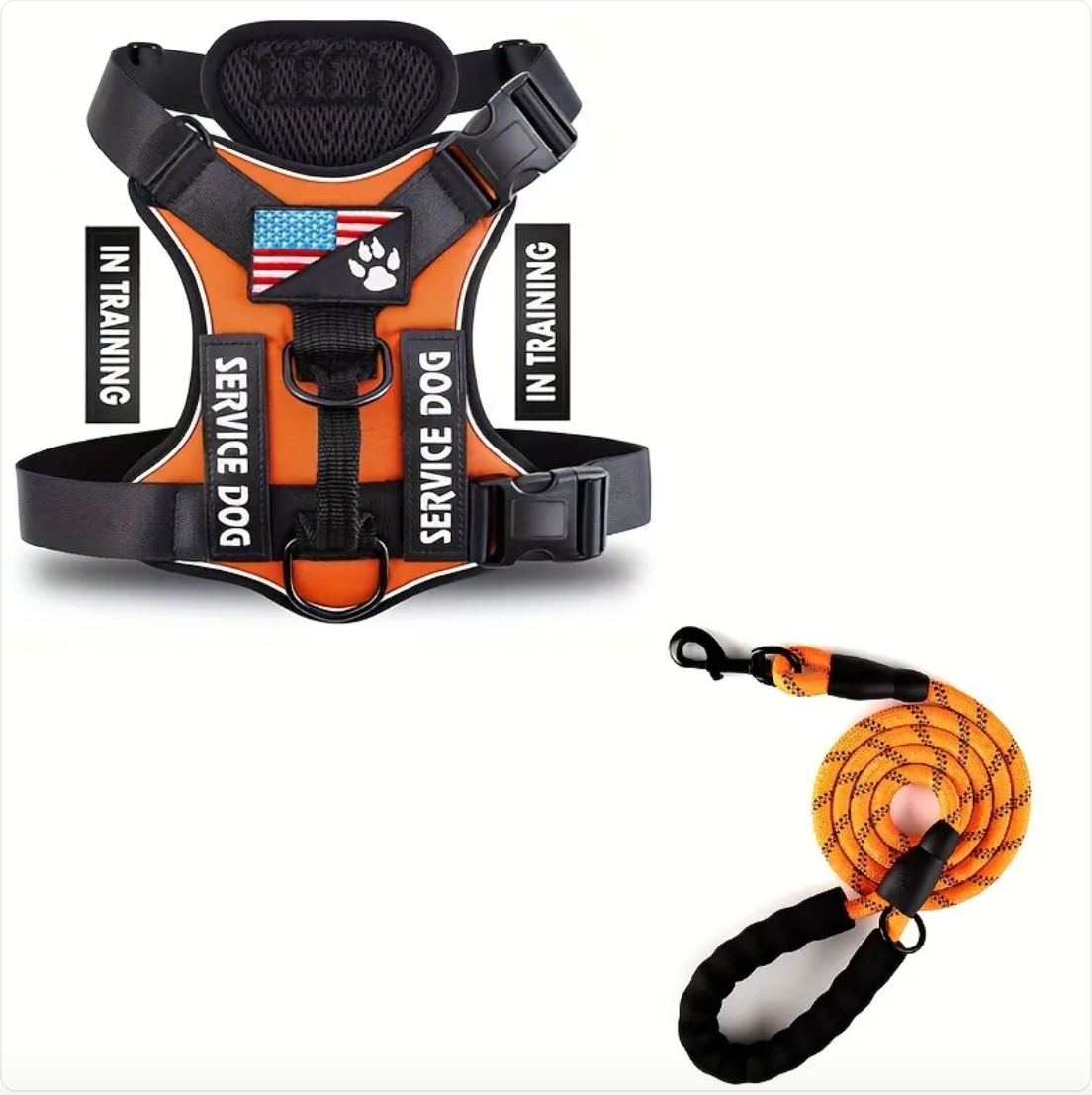 Dog Harness & Leash Set – Reflective Adjustable Safety Walking Kit