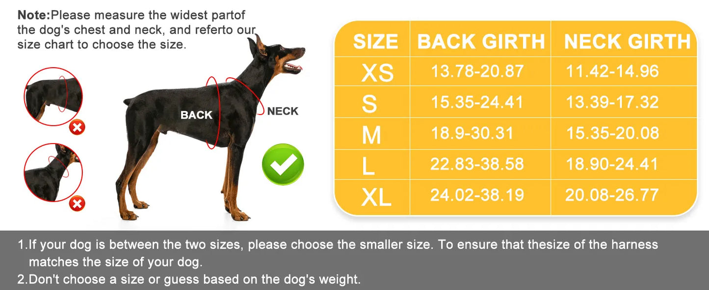 Dog Harness & Leash Set – Reflective Adjustable Safety Walking Kit
