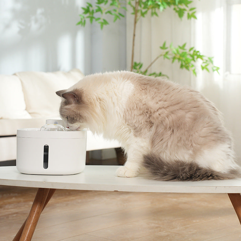Smart Wireless Pet Water Dispenser – Stainless Steel Bowl, Clean Flow